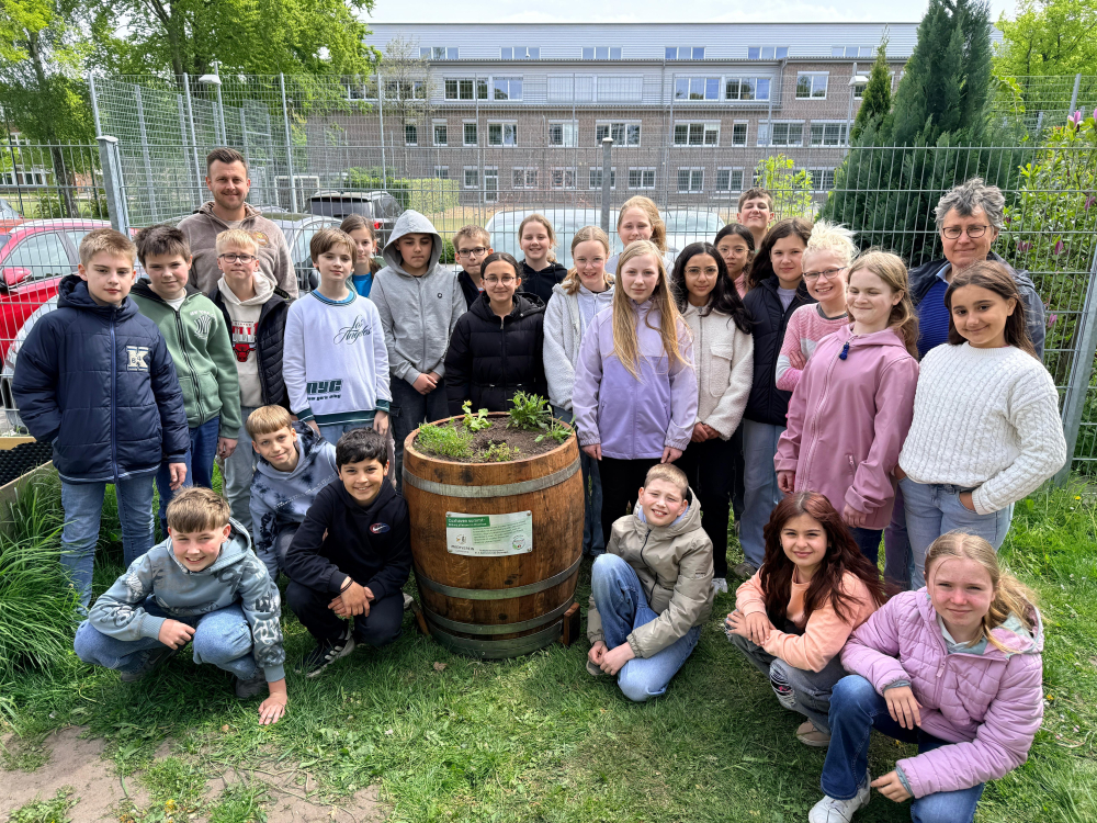 Wildbienen 1