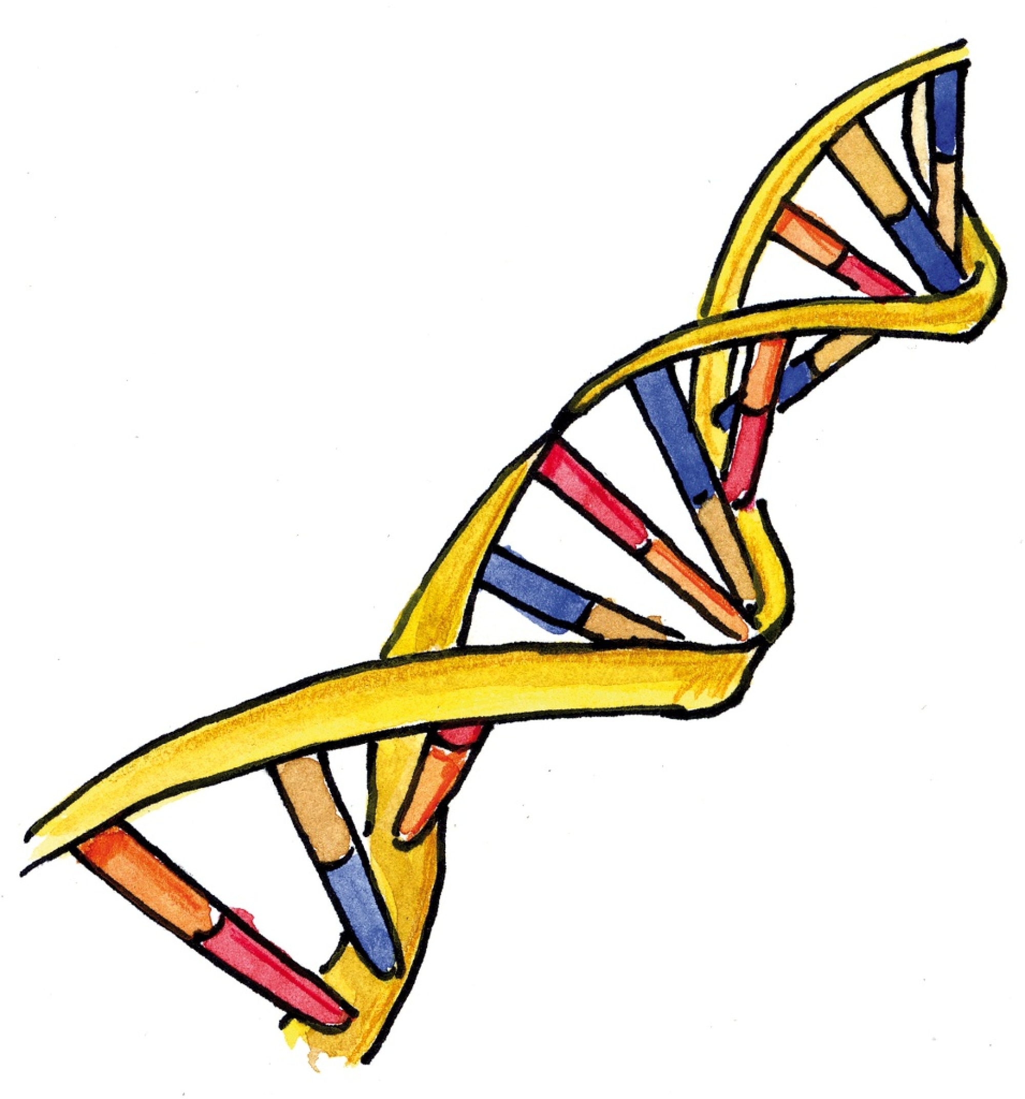 Biologie