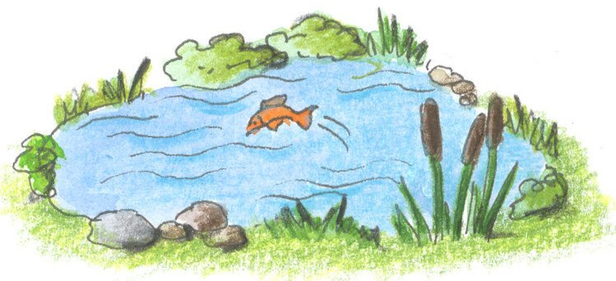 Teich