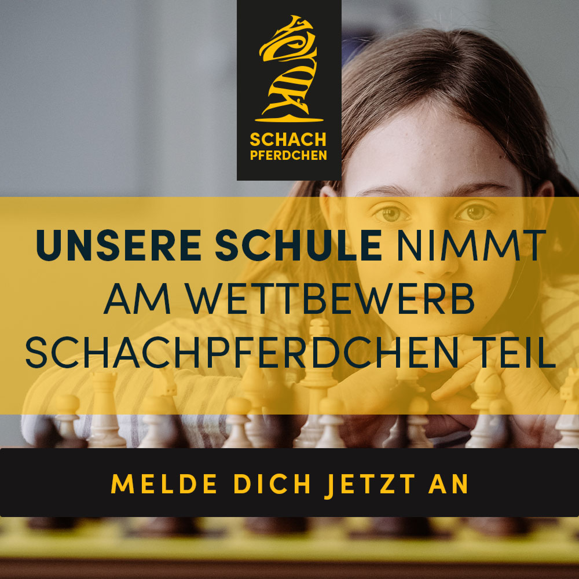 Schachpferdchen